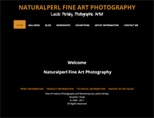 Tablet Screenshot of naturalperlart.com